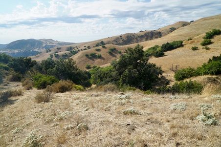 Enlarge photo 111