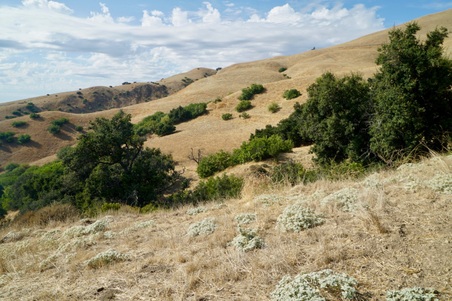 Enlarge photo 112