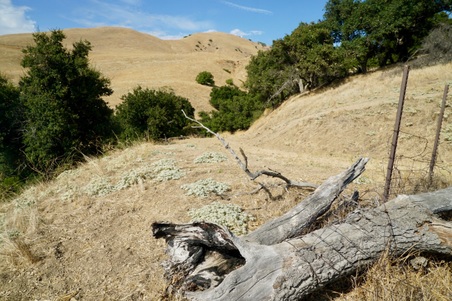 Enlarge photo 113