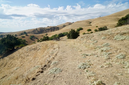Enlarge photo 114