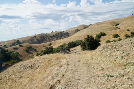 Enlarge photo 115