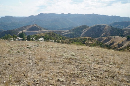 Enlarge photo 121