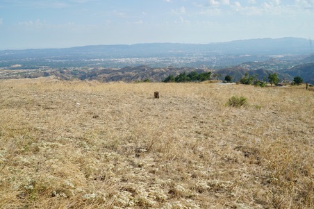 Enlarge photo 123