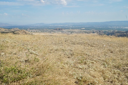 Enlarge photo 124