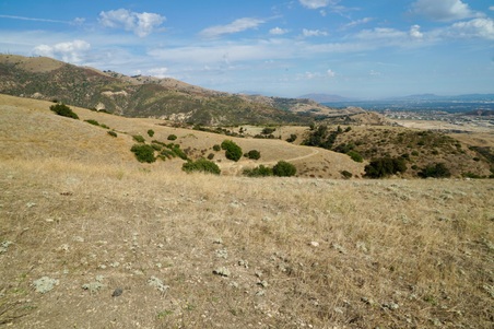 Enlarge photo 125