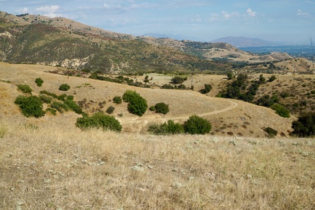 Enlarge photo 127