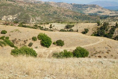 Enlarge photo 126