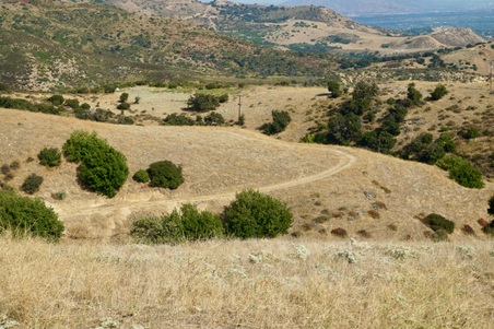 Enlarge photo 128