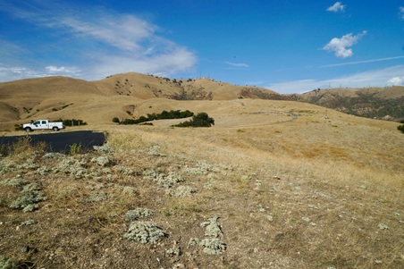 Enlarge photo 129