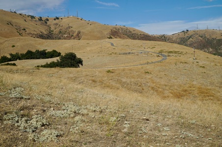 Enlarge photo 130
