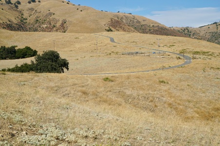 Enlarge photo 131