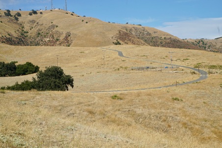 Enlarge photo 132
