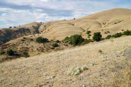 Enlarge photo 138