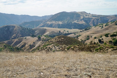 Enlarge photo 139