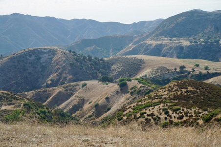 Enlarge photo 140