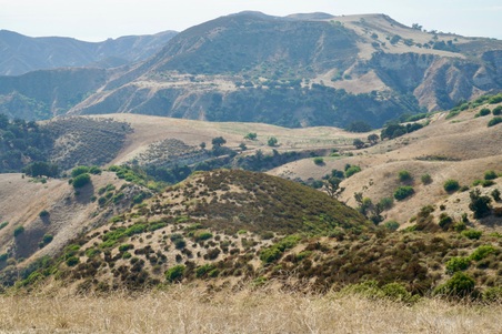 Enlarge photo 141