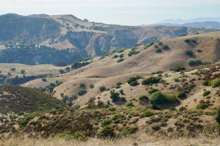 Enlarge photo 143