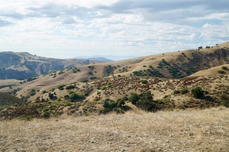Enlarge photo 144