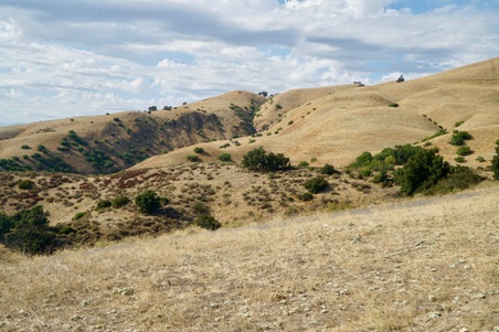 Enlarge photo 146