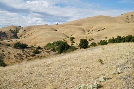 Enlarge photo 145
