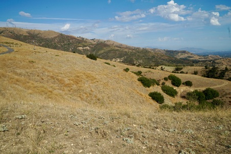 Enlarge photo 147