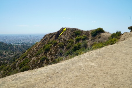 Enlarge photo 6