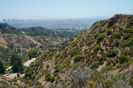 Enlarge photo 16