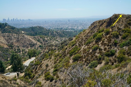 Enlarge photo 11