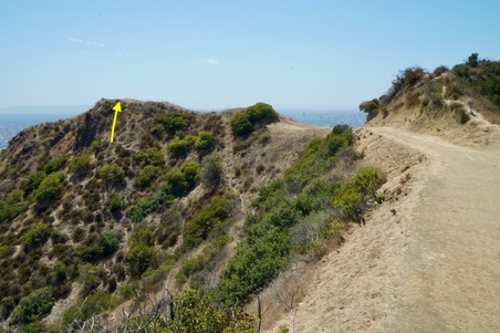 Enlarge photo 8