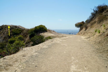 Enlarge photo 5