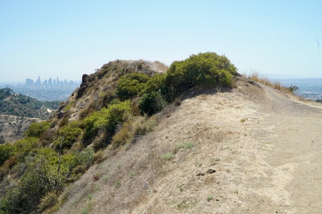 Enlarge photo 39