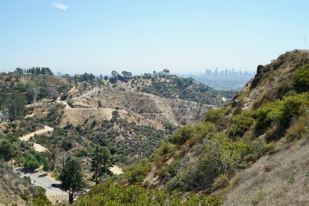 Enlarge photo 42