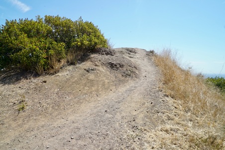 Enlarge photo 17