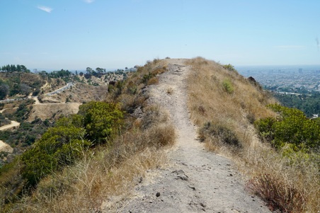 Enlarge photo 38