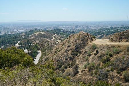 Enlarge photo 44