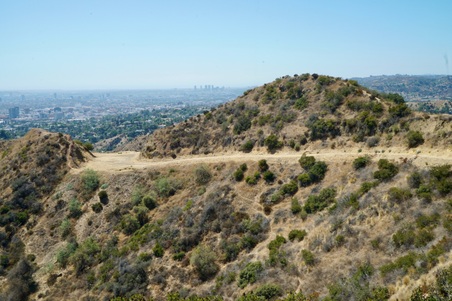 Enlarge photo 46