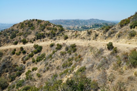 Enlarge photo 45