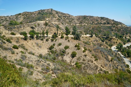 Enlarge photo 48