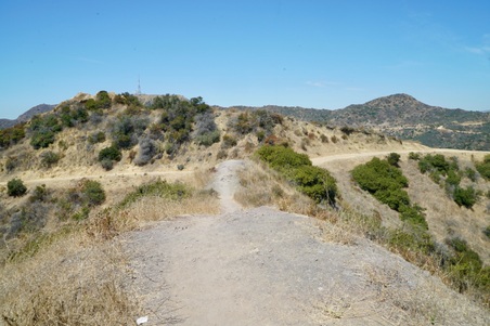 Enlarge photo 47