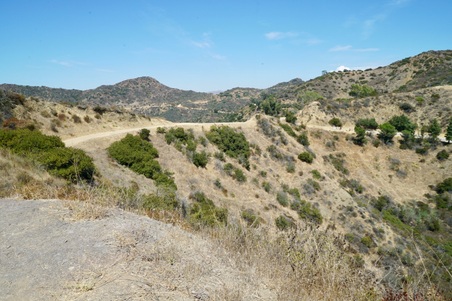 Enlarge photo 49