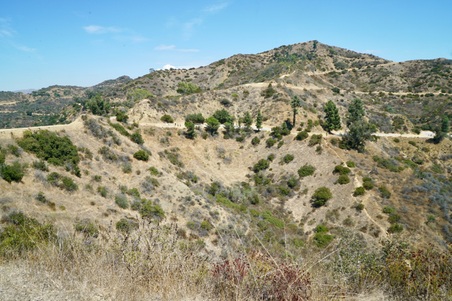 Enlarge photo 51
