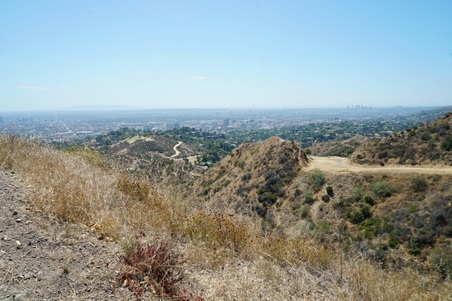 Enlarge photo 52
