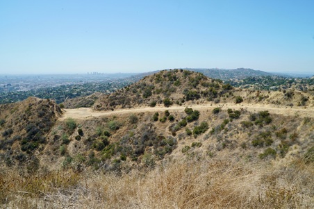 Enlarge photo 53