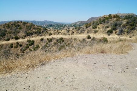 Enlarge photo 54