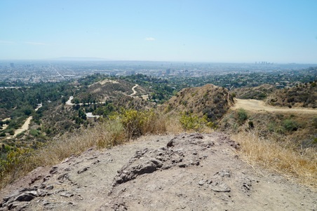 Enlarge photo 35