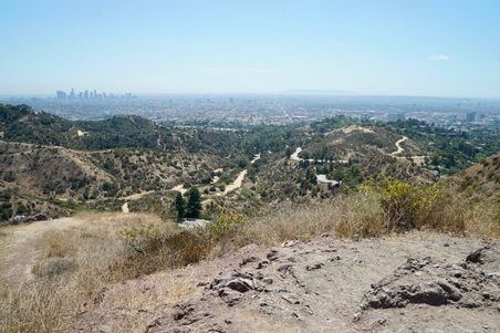 Enlarge photo 37