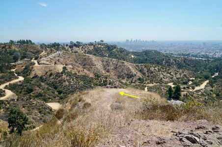 Enlarge photo 22