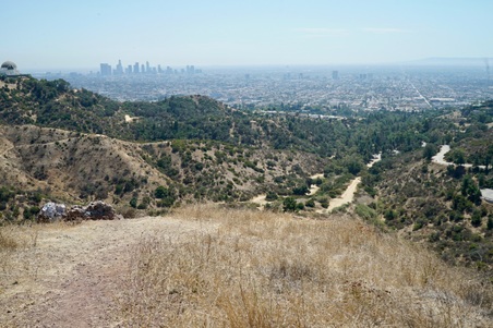 Enlarge photo 24