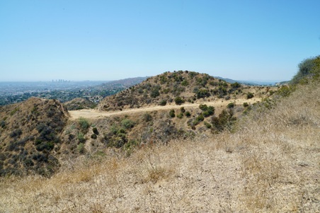 Enlarge photo 62