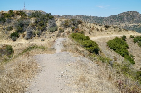 Enlarge photo 61